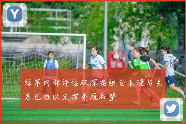 绿军内部评估双探花组合表现与关系已难以支撑夺冠希望