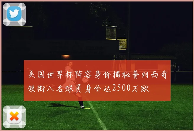 美国世界杯阵容身价揭秘普利西奇领衔八名球员身价达2500万欧